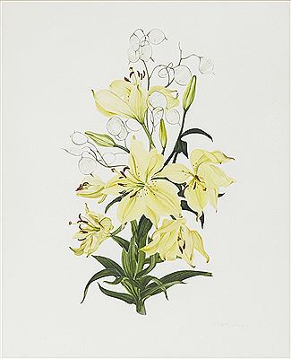 YELLOW LILLIES