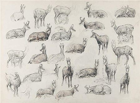 Etude de chamois by Xavier De Poret - Auction record, sale price, and art valuation. Compare with similar artists and explore comparable artworks.