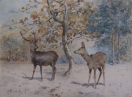 Cerf et biche en sous bois