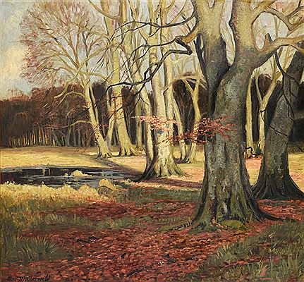 An autumn woodland with pool