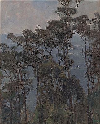Through the Trees, Dandenong Ranges