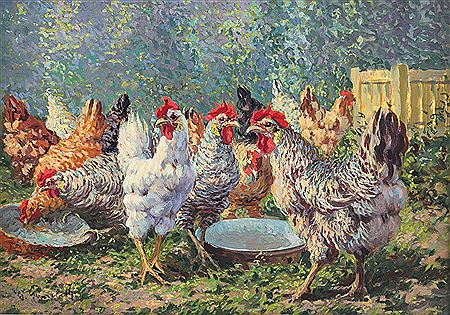 Rooster and hens outdoors