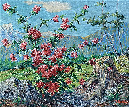 Rododendro, Ferrigno