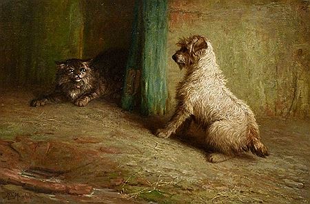 Dog and Cat Interior