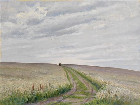 Road in the Field