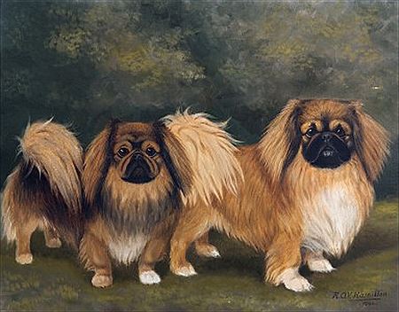 Pekingese by Capt RAV Hamilton - Auction record, sale price, and art valuation. Compare with similar artists and explore comparable artworks.