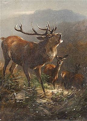 Röhrender Hirsch herbstliche Gebirgslandschaft mit Hirschrudel im morgendlichen Dunst, lasierende, naturalistische Tiermalerei