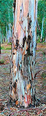 Tree in the Woods, 2015 by Iftah Dori - Auction record, sale price, and art valuation. Compare with similar artists and explore comparable artworks.