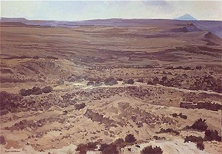 Zin desert