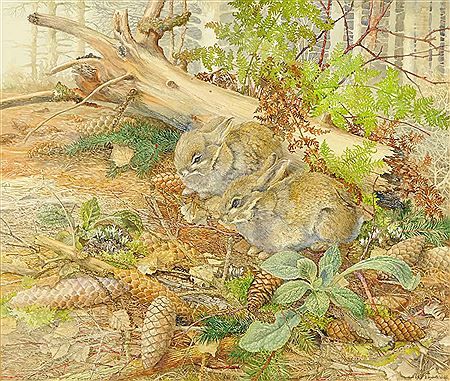 Rabbits