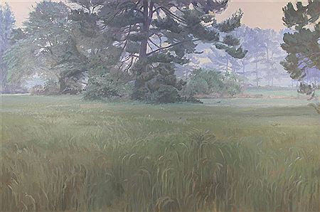 Morning Trees