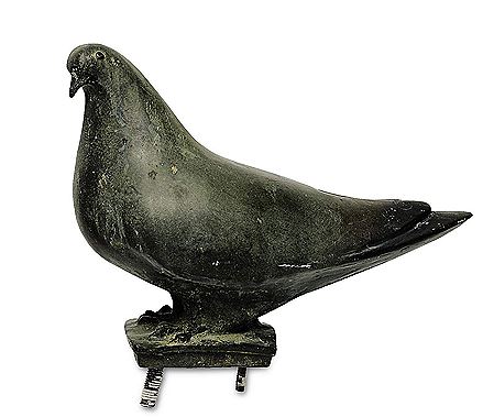Dove