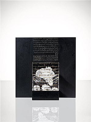 Still life, still alive (2) by Antoine Leperlier - Auction record, sale price, and art valuation. Compare with similar artists and explore comparable artworks.