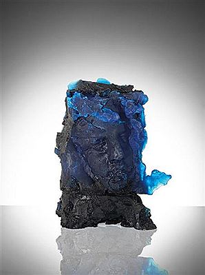 Tête bleu