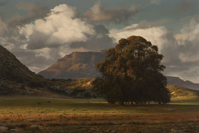 Days End In Laguna Canyon