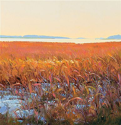 Grassy Lowlands