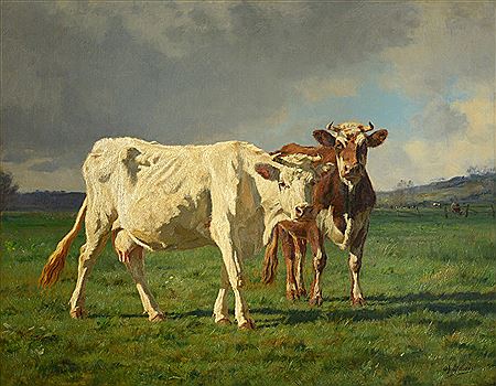 VACAS