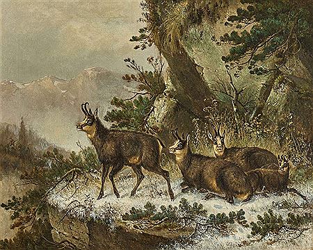 Gämsen in winterlicher Gebirgslandschaft