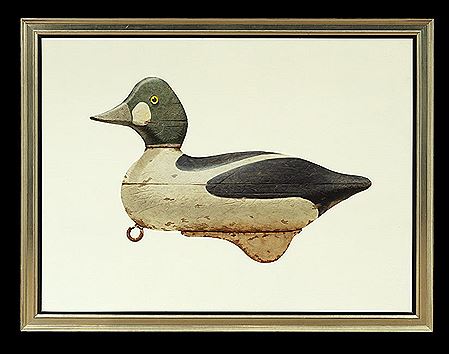"Green-Headed Merganser Decoy"
