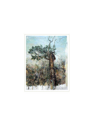 Meet Nobuyoshi Under a Tree