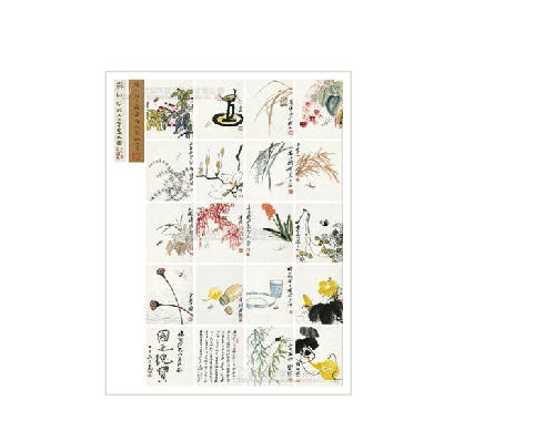 FLORA AND INSECTS ALBLUM