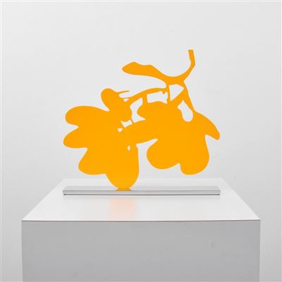 Yellow Lantern Flowers