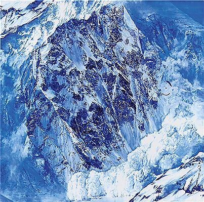 Hedge, 2011
