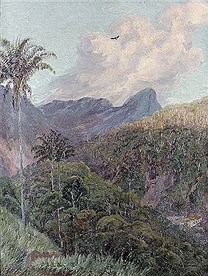 Tropical Landscape