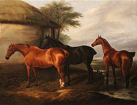 HORSES AT REST