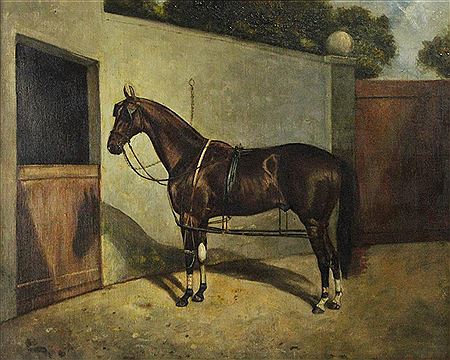 BROWN HORSE IN TACK