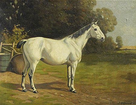 SKIPOKER, 1906