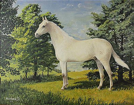 HUNGARIAN THOROUGHBRED HORSE, 1966