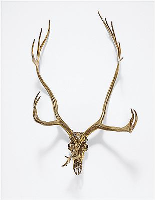Caribou Skull, 2006