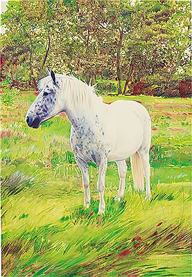 Horse, 2004