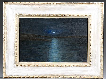 Nocturnal landscape