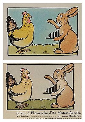 La Poule pose pour le Lièvre