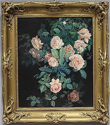 Pink climbing roses
