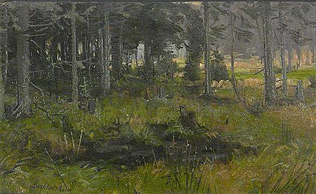 Sumpfige Waldlandschaft mit dicht stehenden Tannen und einem Tümpel