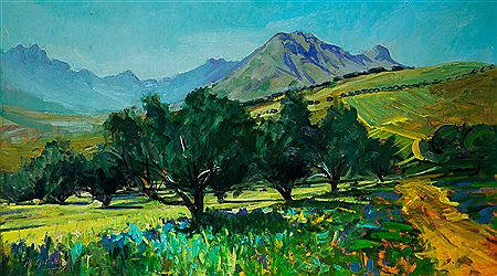 A View Through Olive Trees Stellenbosch I