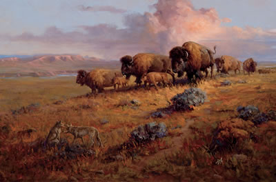 Land of the Lobos