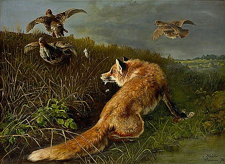 Räv och rapphöns
