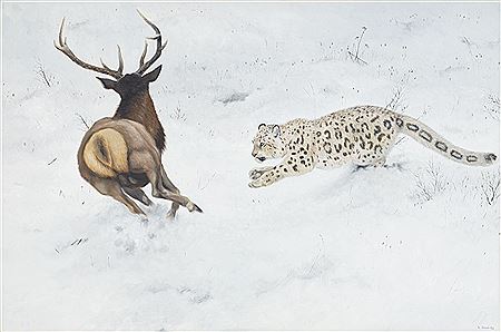 Snöleopard och maralhjort by Lennart Sand - Auction record, sale price, and art valuation. Compare with similar artists and explore comparable artworks.