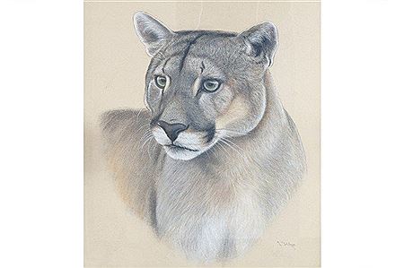 Cougar by Lew Helyes - Auction record, sale price, and art valuation. Compare with similar artists and explore comparable artworks.