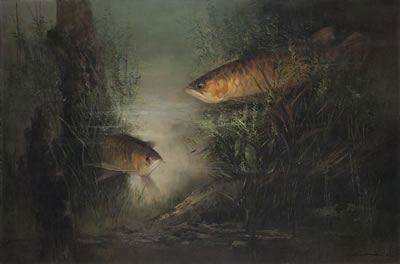 AROWANA