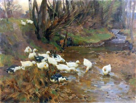 Ducks at a pond