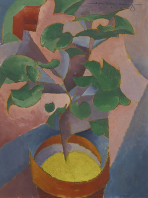 STILL LIFE