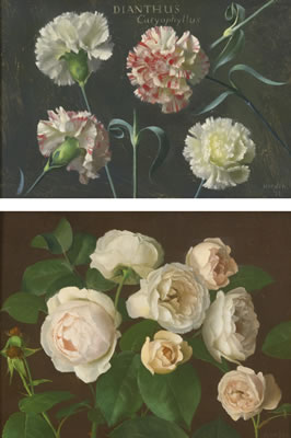CARNATIONS AND STUDIES OF WHITE ROSES: TWO PAINTINGS