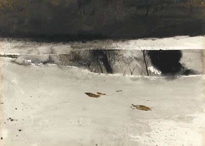 ICE POOL