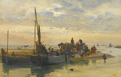LANDING FISH, AMBLETEUSE