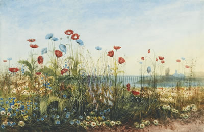 MALAHIDE ESTUARY